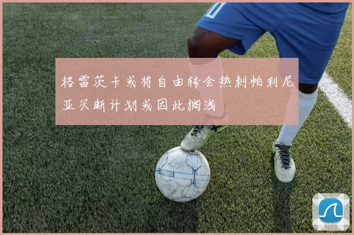 格雷茨卡或将自由转会热刺帕利尼亚买断计划或因此搁浅